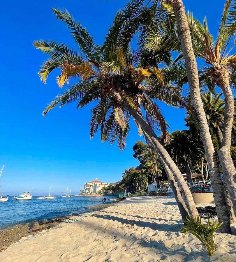 Lux Oceanfront Villa With Breathtaking Views อาวาลอน ภายนอก รูปภาพ