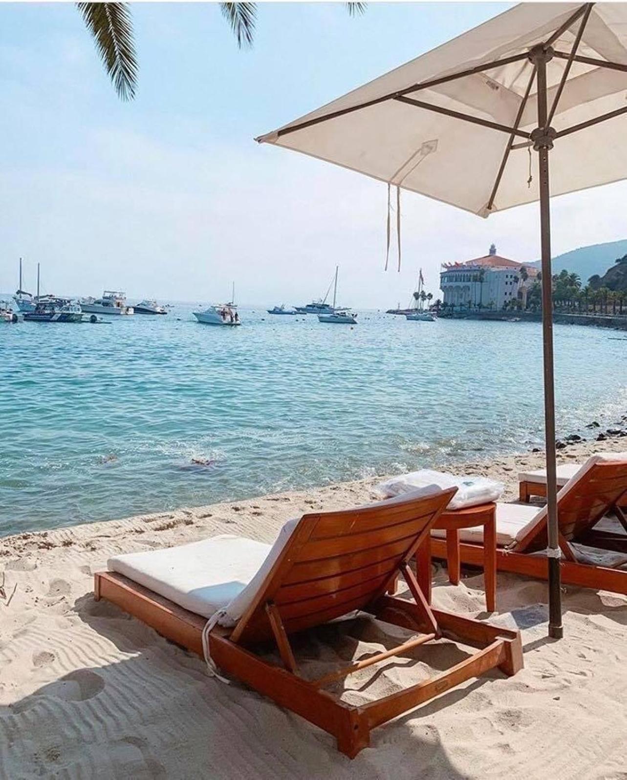 Lux Oceanfront Villa With Breathtaking Views อาวาลอน ภายนอก รูปภาพ