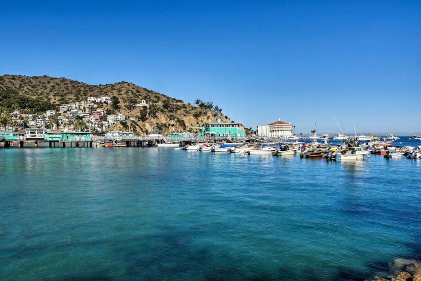 Lux Oceanfront Villa With Breathtaking Views อาวาลอน ภายนอก รูปภาพ